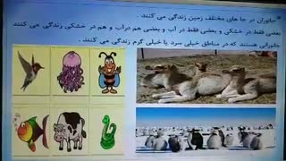 مدارس جوانه های مشهد خانم اسداللهی تدرس علوم درس هر کدام جای خود(1) ماهی ها پایه سوم