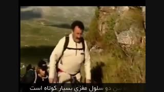 یادگیری چطور صورت می گیرد؟