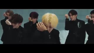 موزیک ویدئوSEVENTEEN