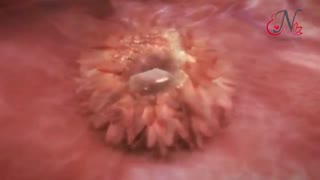 فیلم لحظه شگفت انگیز لقاح انسان