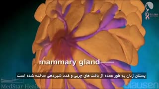 معاینه پستان ها توسط فرد