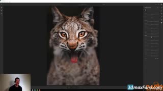 udemy Adobe Lightroom CC Edit and Organize Professionally