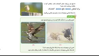 علوم زیستگاه