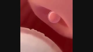 سلول تخم چطور ایجاد میشه؟