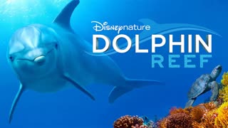 مستند صخره دلفین Dolphin Reef 2020 دوبله فارسی
