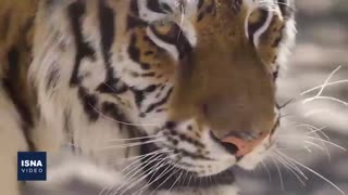 مسئولیت‌های کوچک برای حفاظت از کره زمین