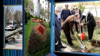 پیرو دستور شهردار تبریز صورت گرفت: آغاز غرس یک میلیون نهال در سطح شهر تبریز/ فعالیت مدیریت شهری تعطیل‌ناپذیر است