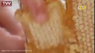 مراحل تولید عسل