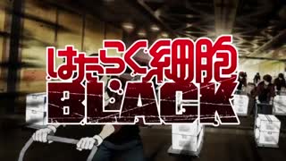 تریلر انیمه Cells at work!! Code Black