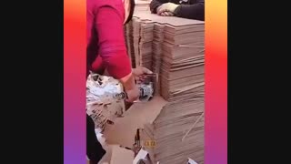 Những Video Triệu View Trên Tik Tok China P(18)