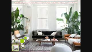 محافظت از گیاهان آپارتمانی با پنجره upvc