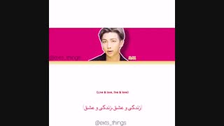 RM LOVE/BTS