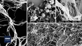 از شواهد تازه درباره ویروس کرونا تا تشخیص زودهنگام پارکینسون