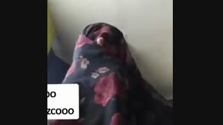 بریز بیرون هموطن