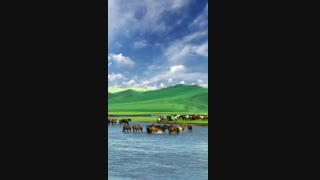 برکه اسب ها