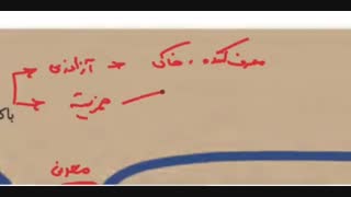 باکتری همزیستی