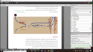 زیست استاد صابری۱۳۹۹/۰۲/۰۶