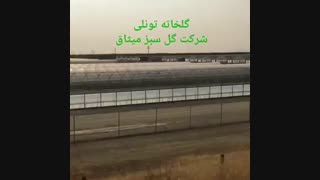 گلخانه تونلی با تجهیزات مدرن | 09125753841