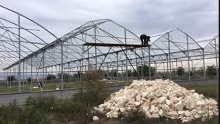 فروش گلخانه با بهترین امکانات روز دنیا | 09125753841