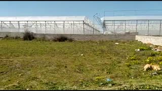 گلخانه دست دوم با بهترین قیمت | 09125753841