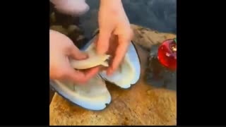 در آوردن مروارید از صدف