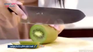 آموزش کامل کار با میوه خشک کن خانگی