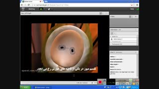 خانم بابایی-زیست یازدهم -نحوه ی تشکیل گامت