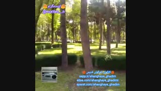 اهنگ مارتیک بنام خواب ( اینستگرام moritez._.n@ )