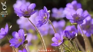 ماه رمضان - بهار در بهار