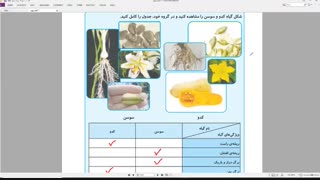 پایه چهارم تدریس علوم فصل12 گیاهان قسمت 1