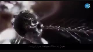 کلیپ مربوط به درس نهم دینی پایه دهم (تجربی)