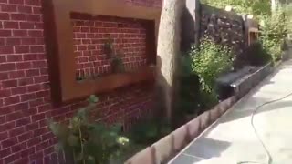 اجرای ابنماهای طبیعی باسنگهای طبیعی بااستادکاران باسلیقه 09124026545