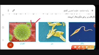 #علوم_ششم            #علوم_تجربی       درس سالم بمانیم قسمت اول