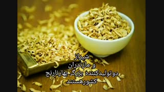 خواص بهارنارنج برای سلامتی؟