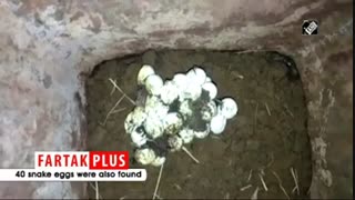 صحنه عجیبی که مرد هندی را در خانه اش شوکه کرد!