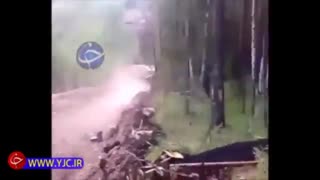 نمی‌دونم در موردش چی بگم خودتون نگاه کنید