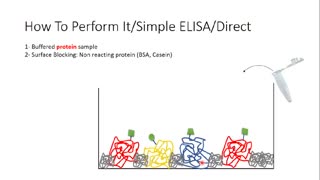 شرکت برتر فروش کیت تحقیقاتی در ایران کدام است ؟ (فروش 09357007743)