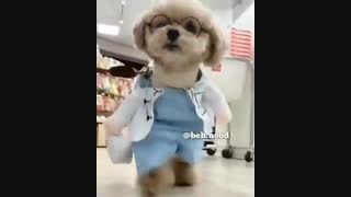 خخخخ
