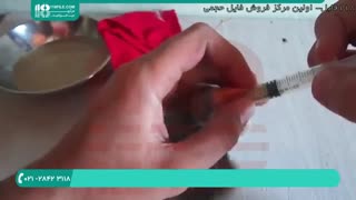 تربیت طوطی-غذای جوجه طوطی