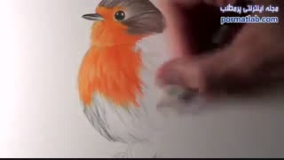 آموزش طراحی پرنده - 15095