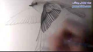 آموزش طراحی - 15096