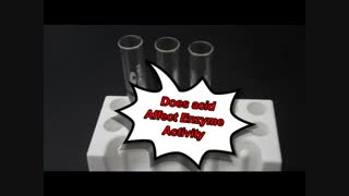 سفیر آزما کیان مرکز فروش انواع آنزیم آزمایشگاهی (09357007743 فروش)