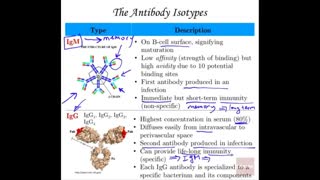 نمایندگی فروش آنتی‌ بادی در ایران شرکت سفیر آزما کیان (09357007743 فروش)