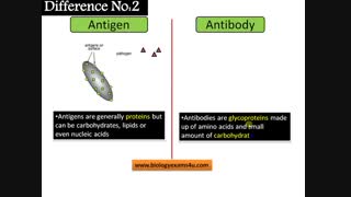 تفاوت بین آنتی ژن و آنتی بادی (09357007743 فروش)