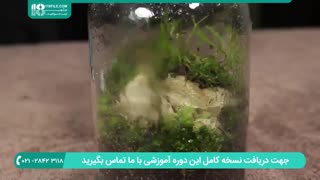 آموزش ساخت تراریوم - ساخت تراریوم در لامپ
