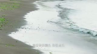 قسمت سی و دوم سریال چینی مبصر کلاس ما your highness class monitor