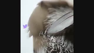 چه طراحی (تقریبا) باحالی کشید با..... یاد بگیرید