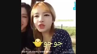 فارسی حرف زدن لیسا