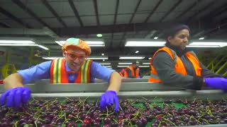 Cherry Farm Tour with Blippi | Healthy Eating for Children