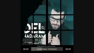 آهنگ جدید گرشا رضایی با نام دل ندارم